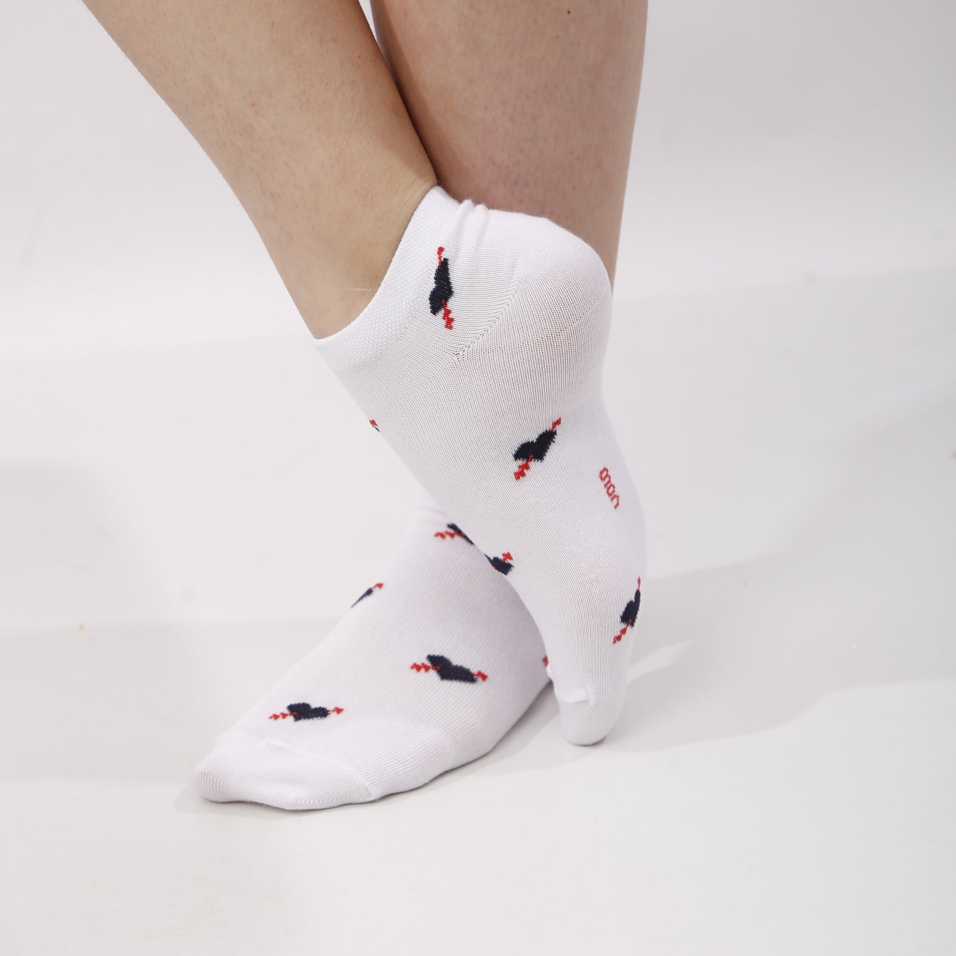 Women's basic ankle socks - Pack of 3